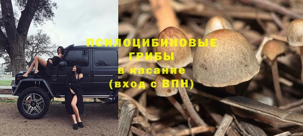 прущая мука Майский